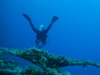 table coral.jpg